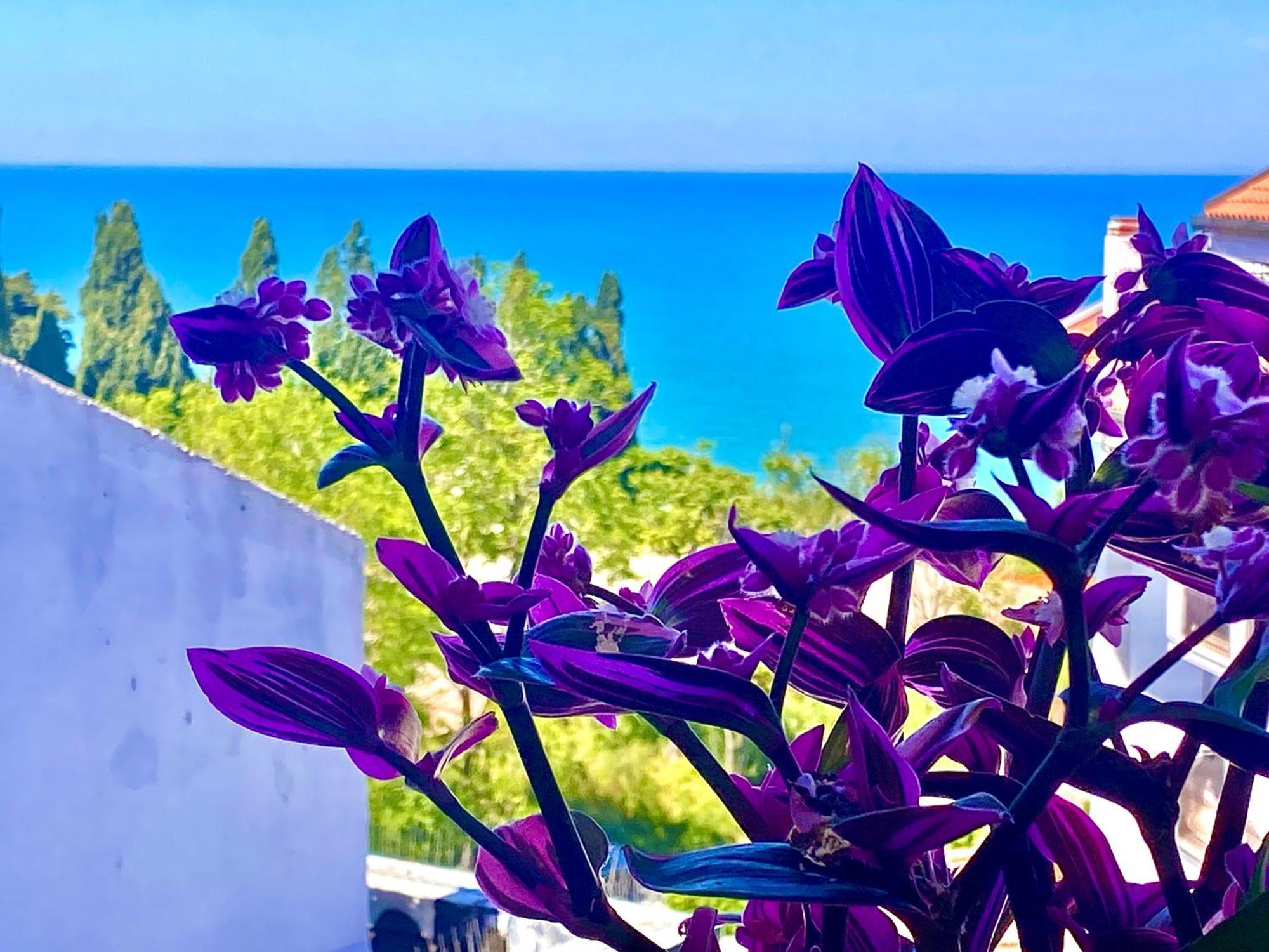 Apartmán Casazzurra Ortona Exteriér fotografie